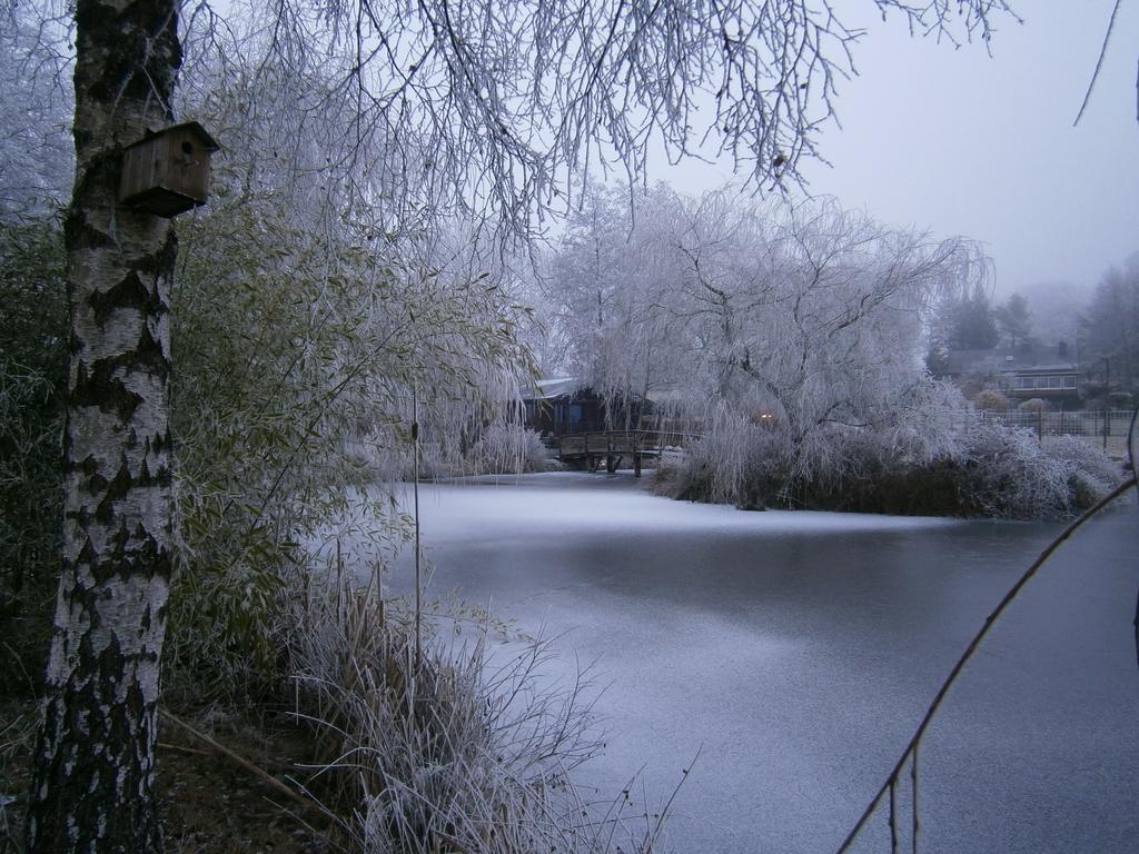 Le Chalet Pre De La Fontaine Paliseul Buitenkant foto